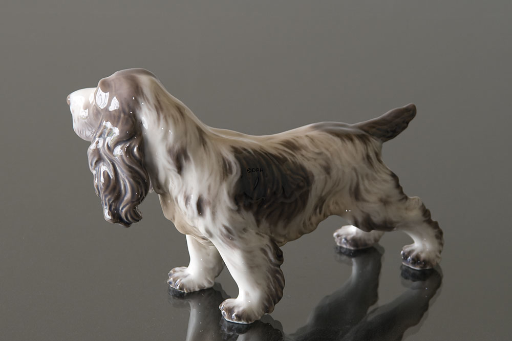 Hund Cocker Spaniel, Dahl Jensen