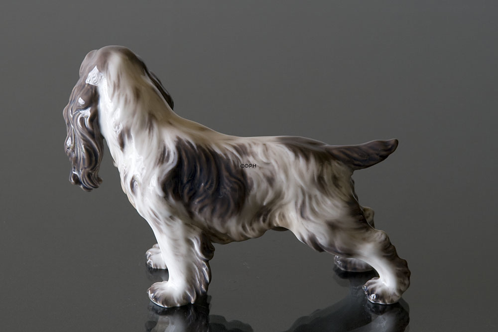 Hund Cocker Spaniel, Dahl Jensen