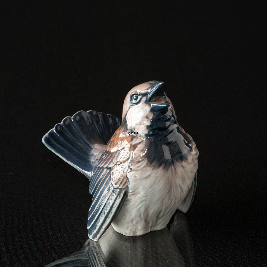 Gråspurv, Dahl Jensen