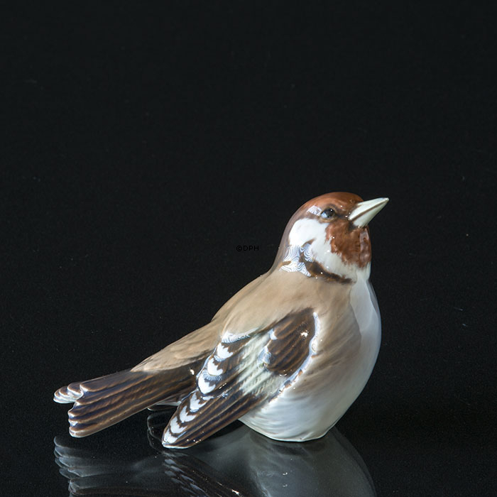 Stillids, Dahl Jensen nr. 1232