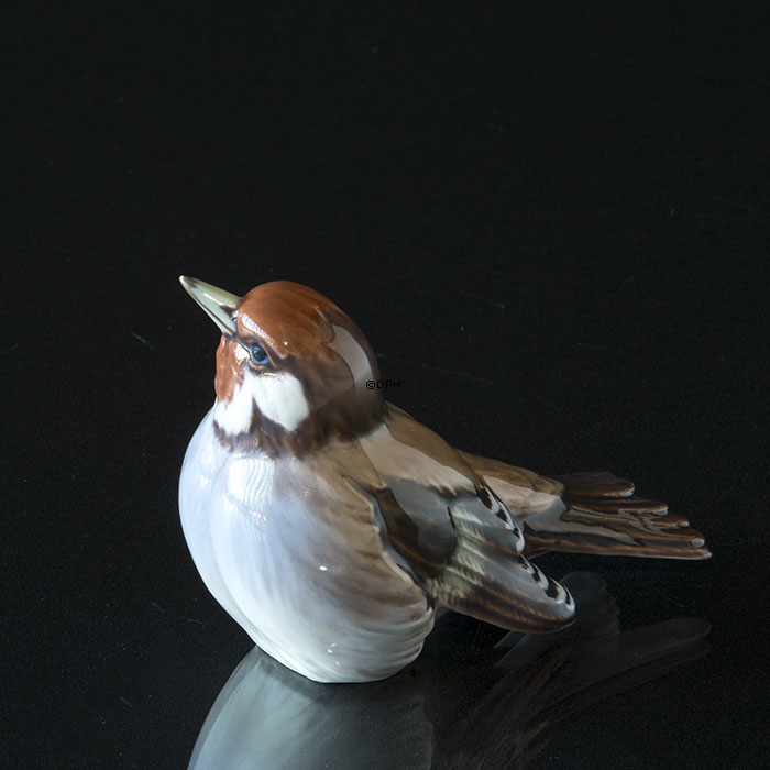 Stillids, Dahl Jensen nr. 1232