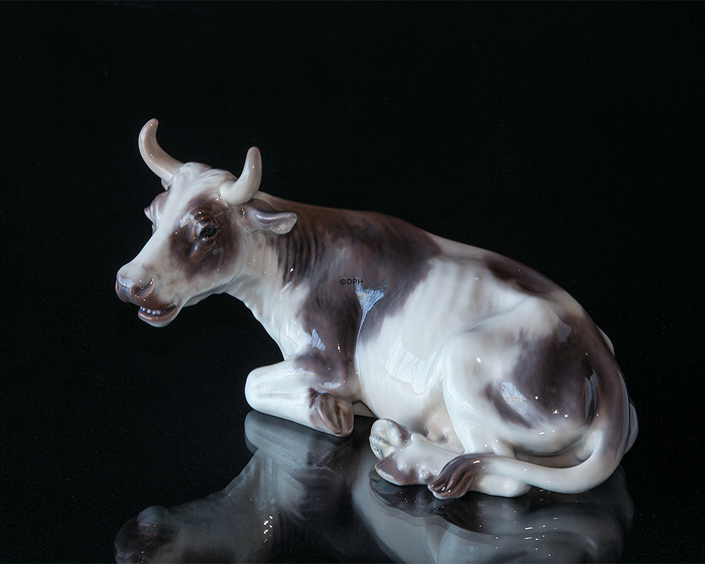 Ko, liggende, nr. 1234 Dahl Jensen