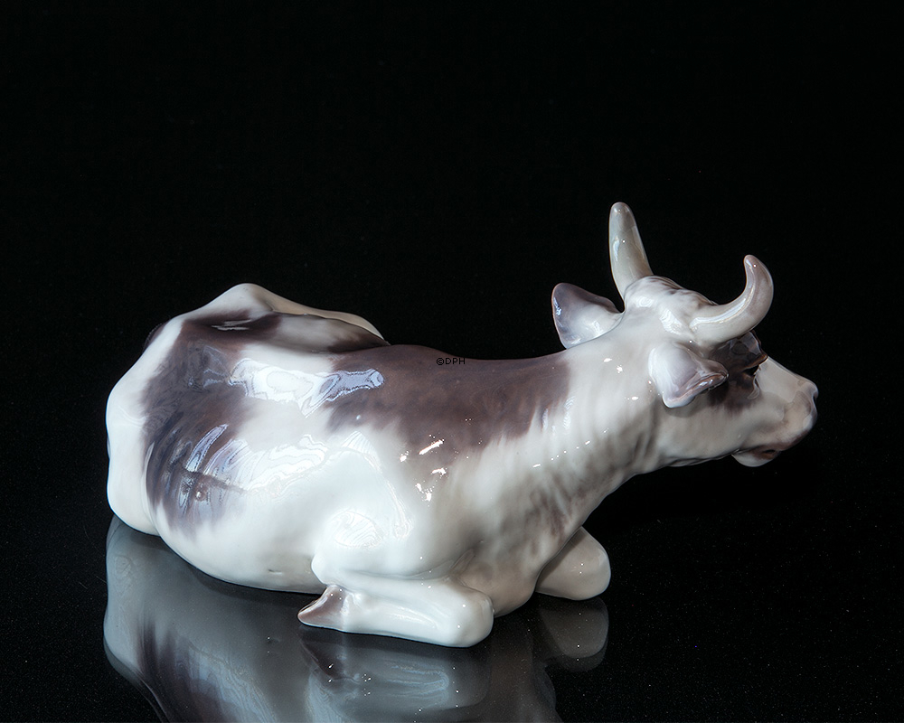 Ko, liggende, nr. 1234 Dahl Jensen