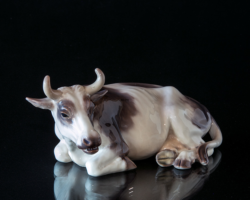 Ko, liggende, nr. 1234 Dahl Jensen