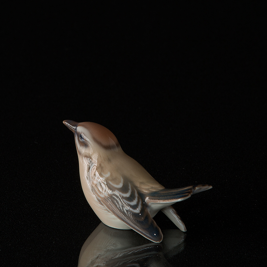 Fuglekonge, lille, Dahl Jensen