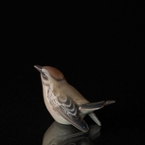 Fuglekonge, lille, Dahl Jensen