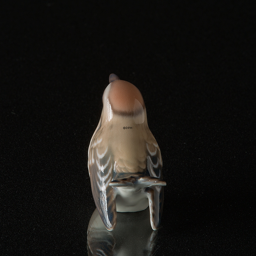 Fuglekonge, lille, Dahl Jensen