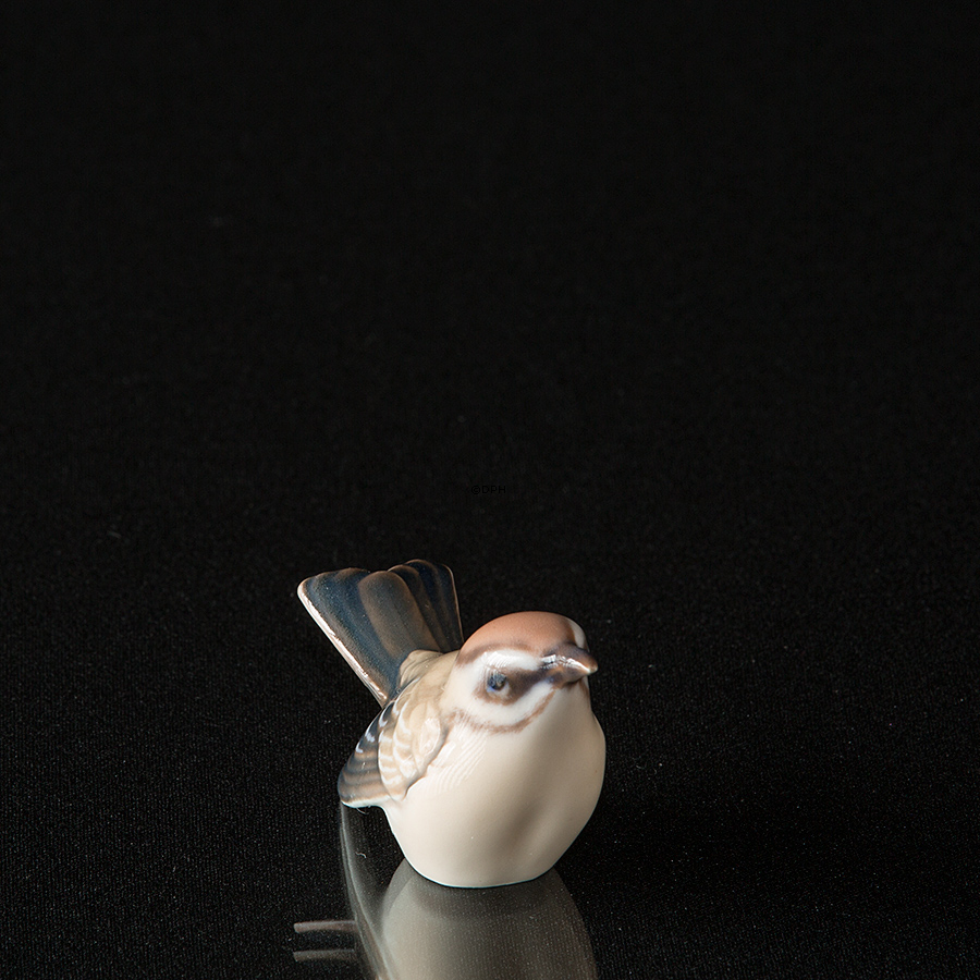 Fuglekonge, lille, Dahl Jensen