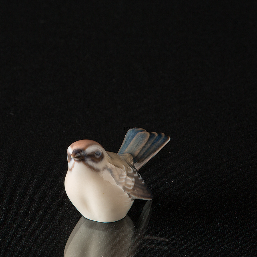 Fuglekonge, lille, Dahl Jensen