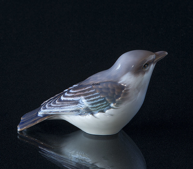 Broget fluesnapper, Dahl Jensen nr. 1240