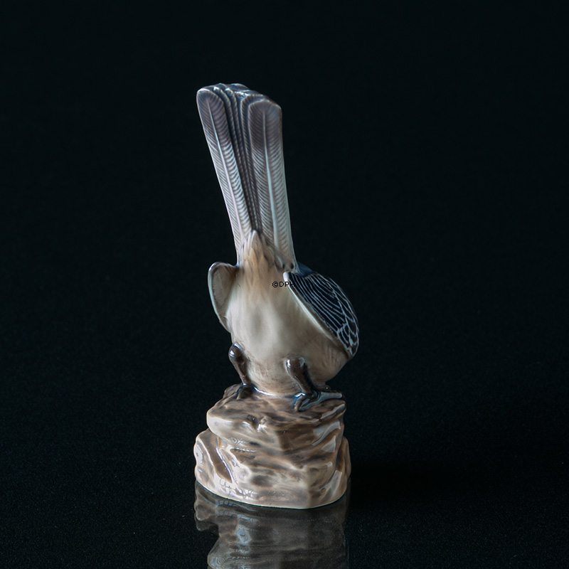 Vipstjert, Dahl Jensen