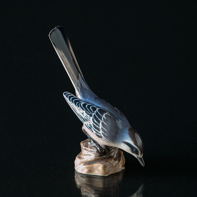 Vipstjert, Dahl Jensen