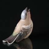 Common Chaffinch Dahl Jensen Figurine No. 1249