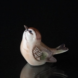 Fuglekonge, Dahl Jensen nr. 1250