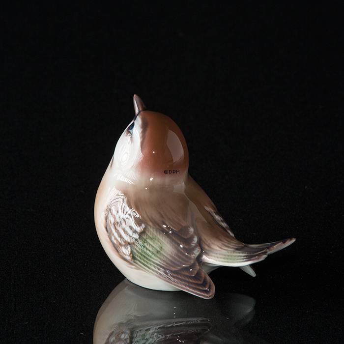 Fuglekonge, Dahl Jensen nr. 1250