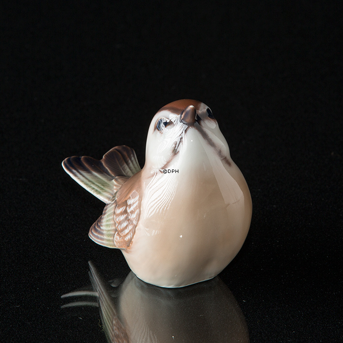 Fuglekonge, Dahl Jensen nr. 1250