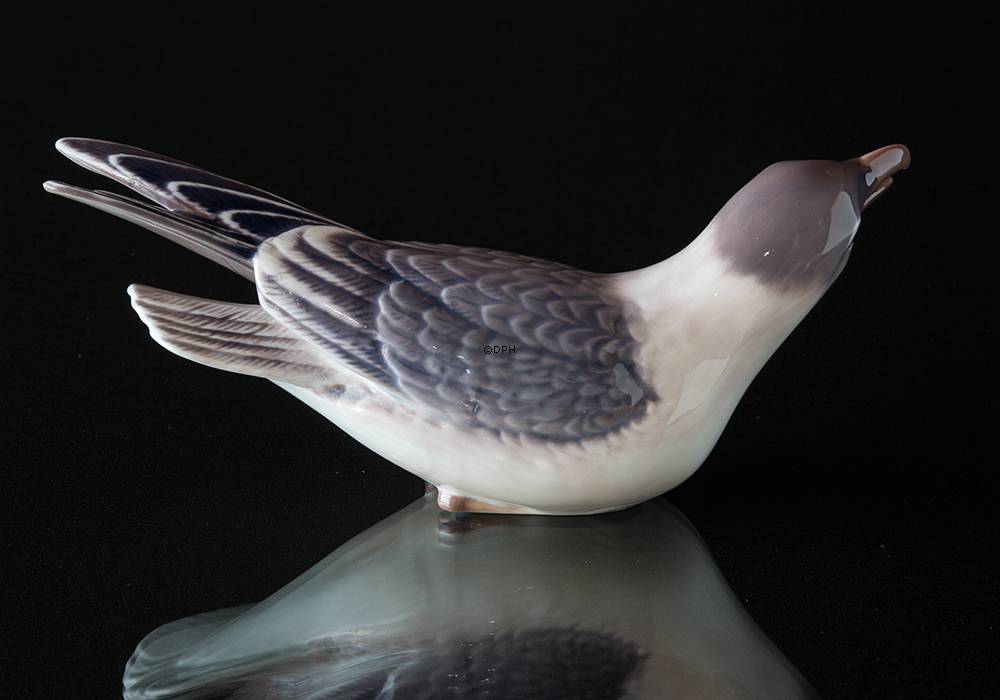 Dahl Jensen måge figur nr. 1318