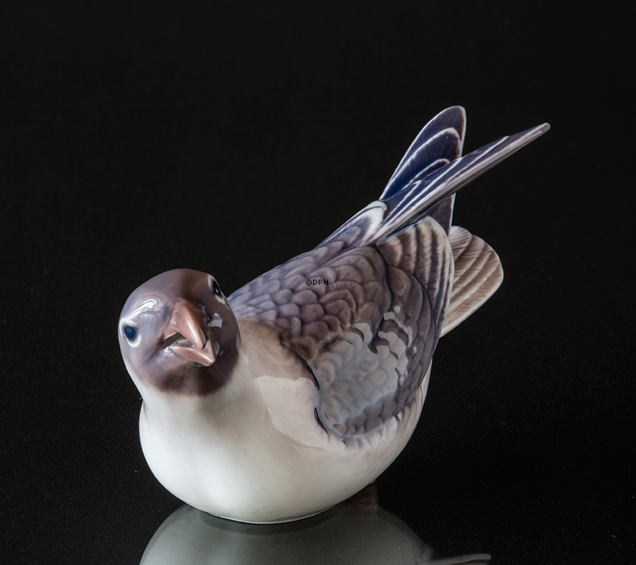 Dahl Jensen måge figur nr. 1318