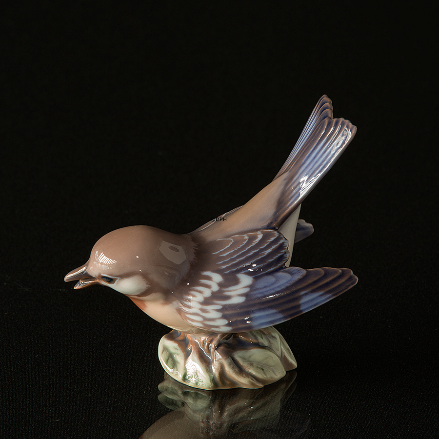 Sang Parula, Dahl Jensen