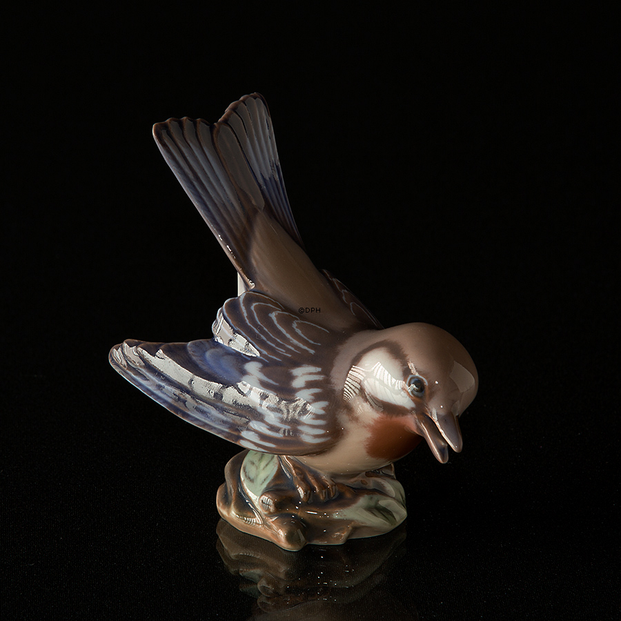 Sang Parula, Dahl Jensen