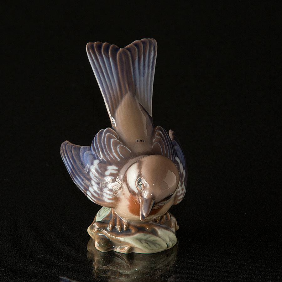 Sang Parula, Dahl Jensen