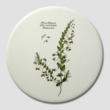 Flora Danica round tile, Toadflax