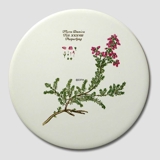 Flora Danica round tile, Purple Heather