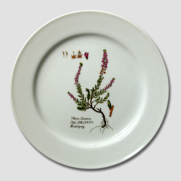 Flora Danica platte, Hedelyng