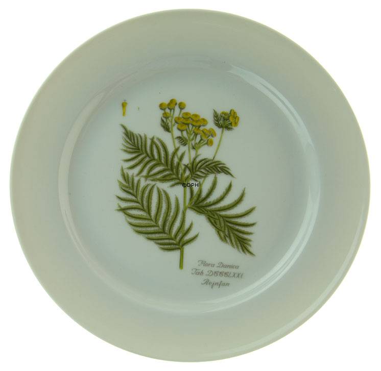 Flora Danica Platte, Faxe Depotet, Rejnfan