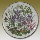 Franklin Porzellan, Wedgwood, Teller mit Blumen des Jahres Januar