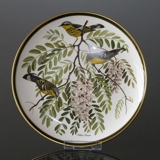 Franklin Porzellan Wedgwood, 1977, Singvögel der Welt, Magnolien-Waldsänger