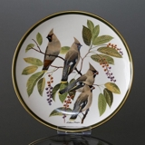 Franklin Porcelain Wedgwood, 1977, Songbirds of the World, Bohemian Waxwing