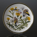 Franklin Porcelain Wedgwood, 1977, Verdens Sangfugle, European Goldfinch