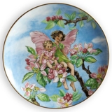Villeroy & Boch plate, no. 6th plate in the seriesThe Flower Fairies Collection - the Apple Blossom Fairy