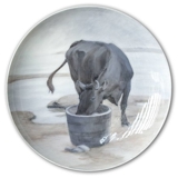 Plate with drinking cow, Royal Copenhagen UNICA Signed: 2/6 GR. 1927 (Gotfred Rode)