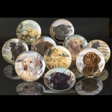 Hundeplatter, serie af 10 platter med Labrador hunde, brun, sort og gylden
