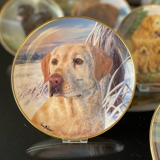 Hundeplatter, serie af 10 platter med Labrador hunde, brun, sort og gylden