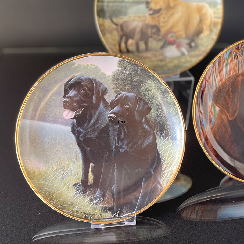 Hundeplatter, serie af 10 platter med Labrador hunde, brun, sort og gylden