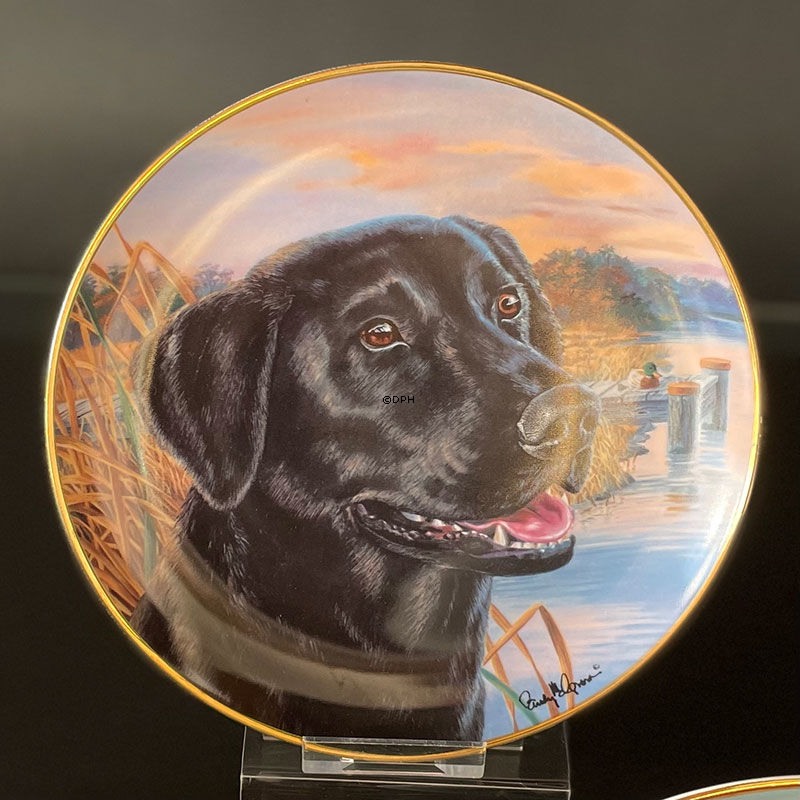 Hundeplatter, serie af 10 platter med Labrador hunde, brun, sort og gylden