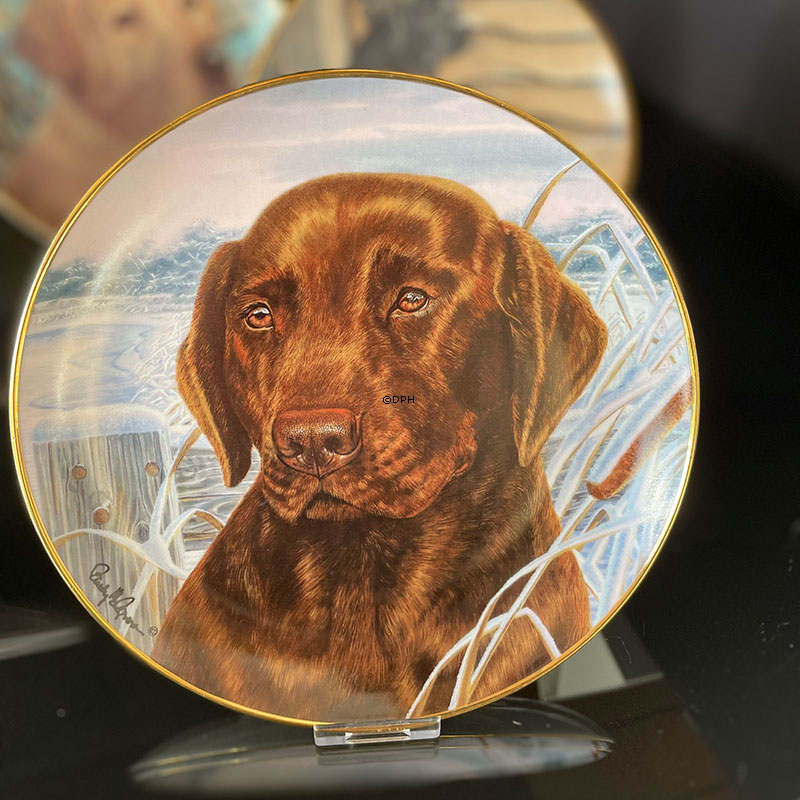 Hundeplatter, serie af 10 platter med Labrador hunde, brun, sort og gylden