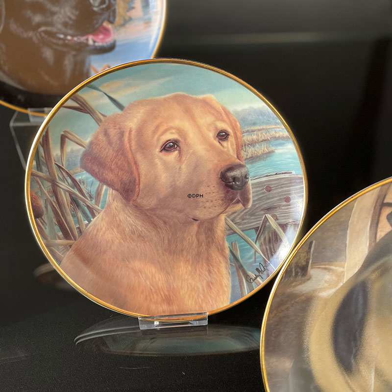 Hundeplatter, serie af 10 platter med Labrador hunde, brun, sort og gylden