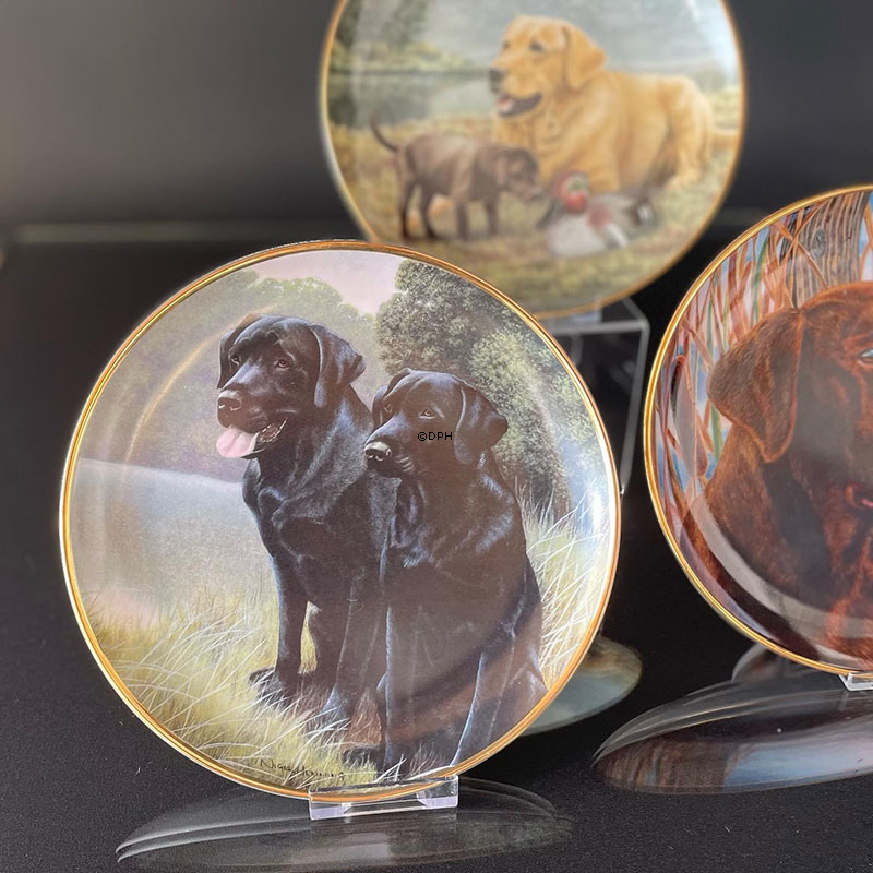 Hundeplatter, serie af 10 platter med Labrador hunde, brun, sort og gylden