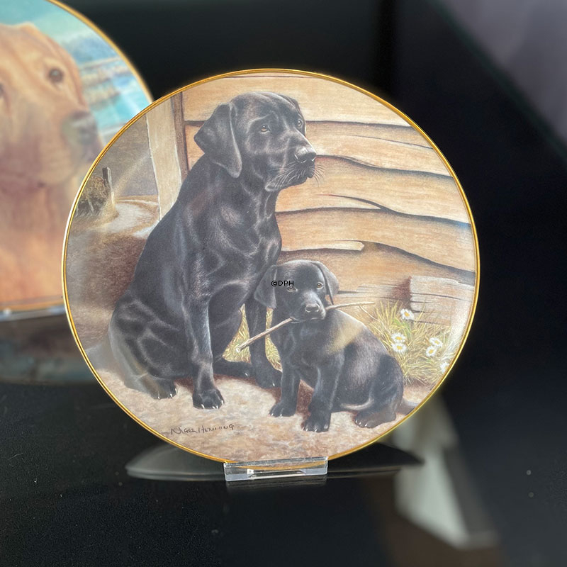 Hundeplatter, serie af 10 platter med Labrador hunde, brun, sort og gylden
