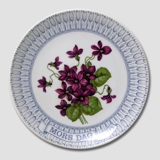 1980 Mother's Day plate, Viola