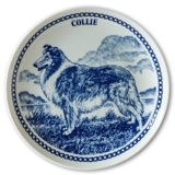 Hansa hundeplatte nr. 1, Collie