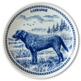 Hansa hundeplatte nr. 3, Labrador