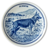 Hansa hundeplatte nr. 5, Schæfer