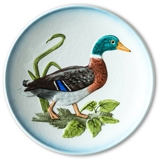 Hummel Goebel Wildlife plate with bird, Mallard duck