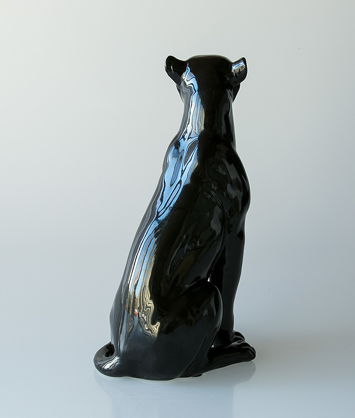 Leopard i sort siddende