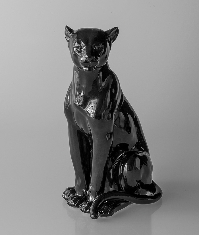 Leopard i sort siddende